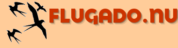 My logo.