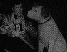 Elvis Presley and Nipper